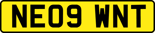 NE09WNT