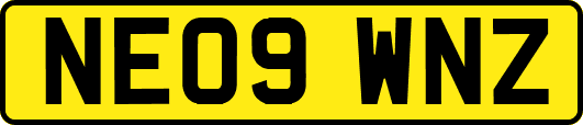 NE09WNZ