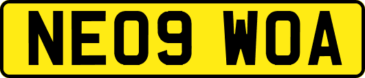 NE09WOA