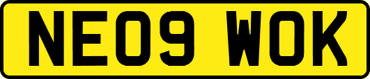 NE09WOK