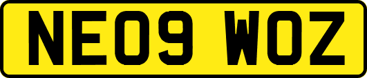 NE09WOZ