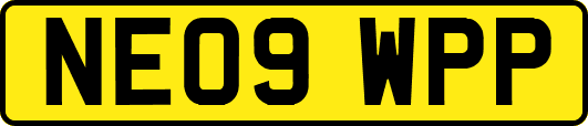NE09WPP
