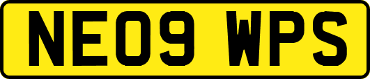 NE09WPS