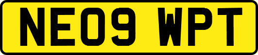 NE09WPT