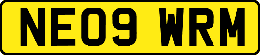 NE09WRM