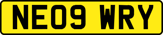NE09WRY