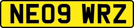 NE09WRZ