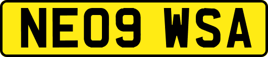 NE09WSA