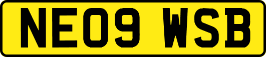 NE09WSB