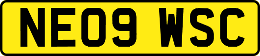 NE09WSC