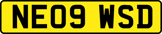 NE09WSD