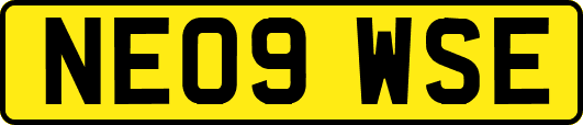 NE09WSE