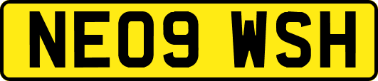 NE09WSH