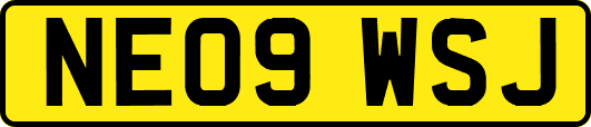 NE09WSJ