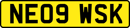 NE09WSK