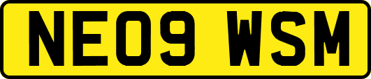 NE09WSM