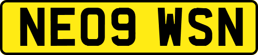 NE09WSN