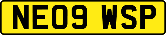 NE09WSP