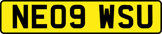 NE09WSU