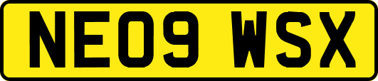 NE09WSX