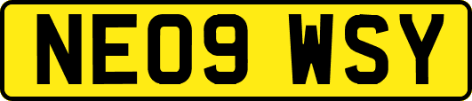 NE09WSY