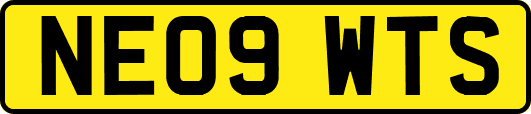 NE09WTS