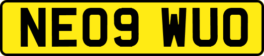 NE09WUO