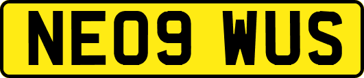 NE09WUS