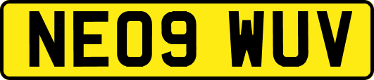 NE09WUV
