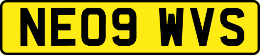 NE09WVS