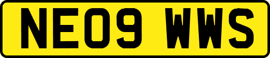 NE09WWS