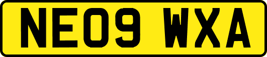 NE09WXA
