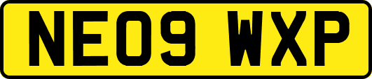 NE09WXP
