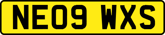 NE09WXS