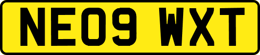 NE09WXT