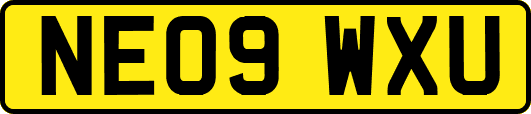 NE09WXU