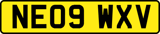 NE09WXV