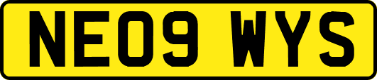 NE09WYS