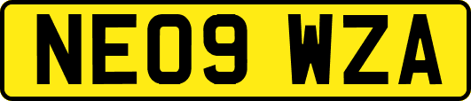 NE09WZA