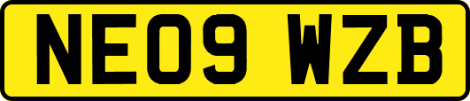 NE09WZB