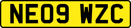 NE09WZC