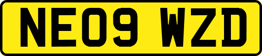 NE09WZD