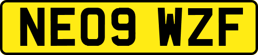 NE09WZF
