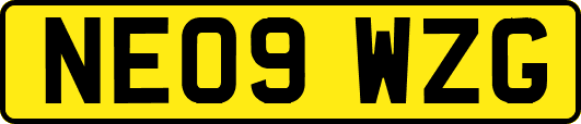 NE09WZG
