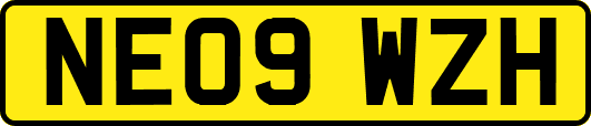 NE09WZH
