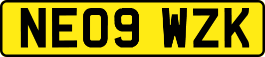 NE09WZK
