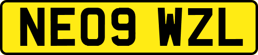 NE09WZL