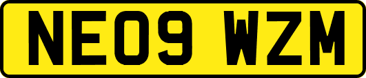 NE09WZM