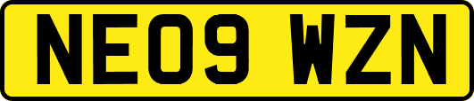 NE09WZN
