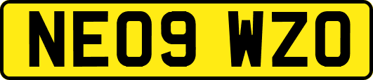 NE09WZO